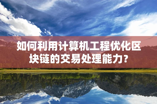 如何利用计算机工程优化区块链的交易处理能力？